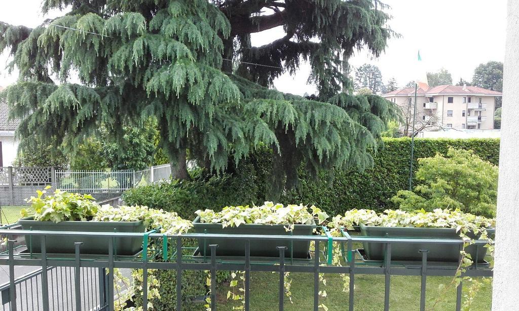 Affittacamere Giudici Lentate sul Seveso Εξωτερικό φωτογραφία